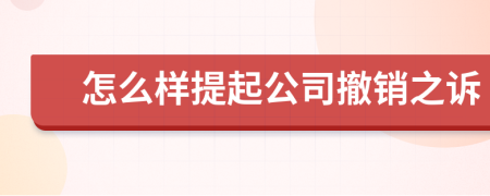 怎么样提起公司撤销之诉