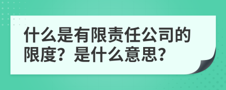 什么是有限责任公司的限度？是什么意思？