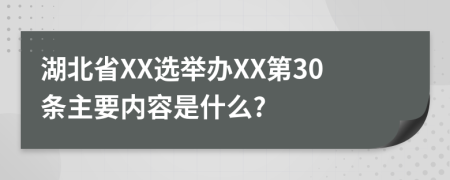 湖北省XX选举办XX第30条主要内容是什么?