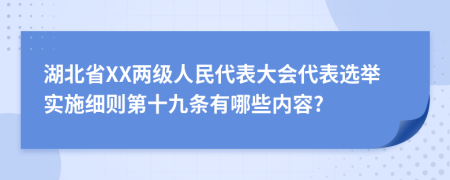 湖北省XX两级人民代表大会代表选举实施细则第十九条有哪些内容?