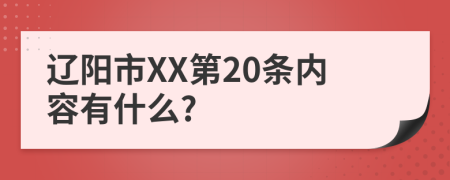 辽阳市XX第20条内容有什么?