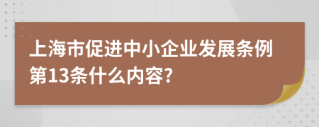 上海市促进中小企业发展条例第13条什么内容?
