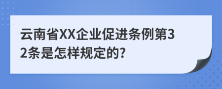 云南省XX企业促进条例第32条是怎样规定的?