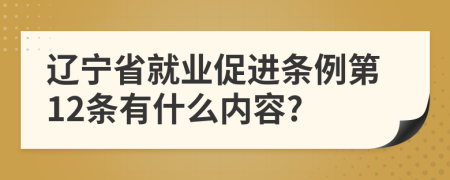 辽宁省就业促进条例第12条有什么内容?