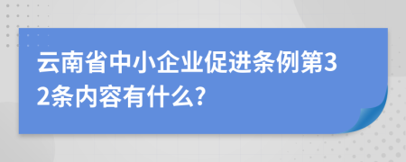 云南省中小企业促进条例第32条内容有什么?