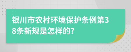 银川市农村环境保护条例第38条新规是怎样的?