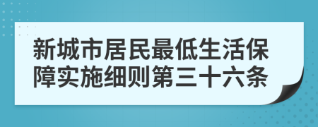 新城市居民最低生活保障实施细则第三十六条