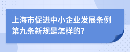 上海市促进中小企业发展条例第九条新规是怎样的?