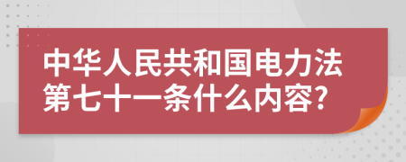 中华人民共和国电力法第七十一条什么内容?