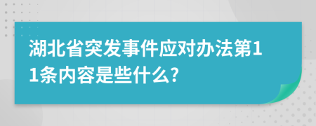 湖北省突发事件应对办法第11条内容是些什么?