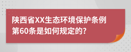 陕西省XX生态环境保护条例第60条是如何规定的?