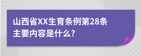 山西省XX生育条例第28条主要内容是什么?