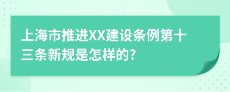 上海市推进XX建设条例第十三条新规是怎样的?