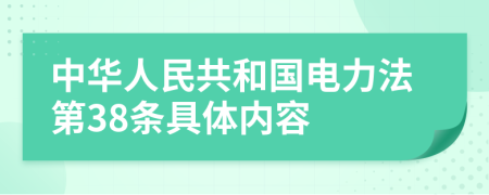 中华人民共和国电力法第38条具体内容