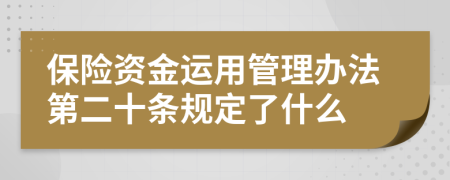 保险资金运用管理办法第二十条规定了什么