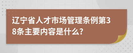 辽宁省人才市场管理条例第38条主要内容是什么?