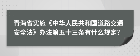 青海省实施《中华人民共和国道路交通安全法》办法第五十三条有什么规定?