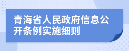 青海省人民政府信息公开条例实施细则