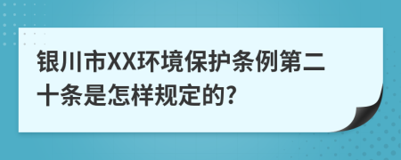 银川市XX环境保护条例第二十条是怎样规定的?