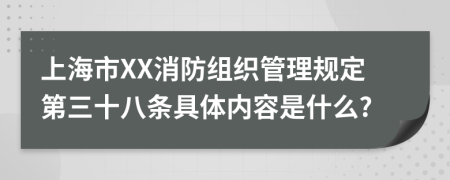 上海市XX消防组织管理规定第三十八条具体内容是什么?