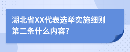 湖北省XX代表选举实施细则第二条什么内容?