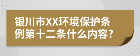 银川市XX环境保护条例第十二条什么内容?