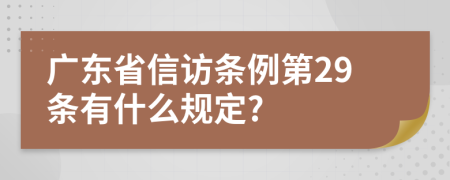 广东省信访条例第29条有什么规定?