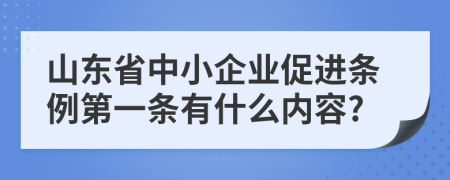 山东省中小企业促进条例第一条有什么内容?