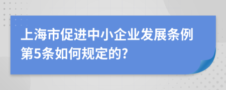 上海市促进中小企业发展条例第5条如何规定的?