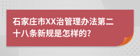 石家庄市XX治管理办法第二十八条新规是怎样的?