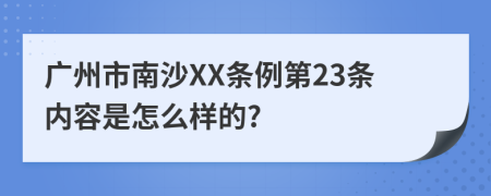 广州市南沙XX条例第23条内容是怎么样的?