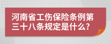河南省工伤保险条例第三十八条规定是什么?