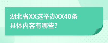 湖北省XX选举办XX40条具体内容有哪些?