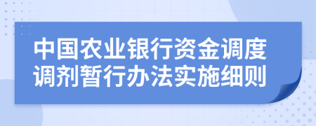 中国农业银行资金调度调剂暂行办法实施细则