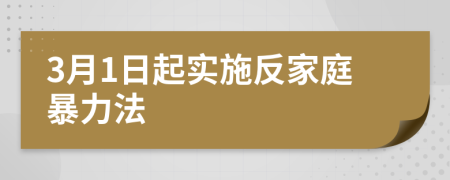 3月1日起实施反家庭暴力法