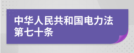 中华人民共和国电力法第七十条