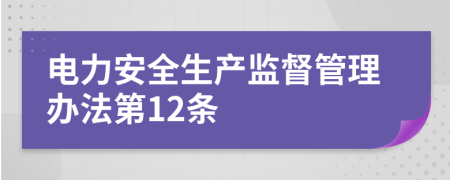 电力安全生产监督管理办法第12条