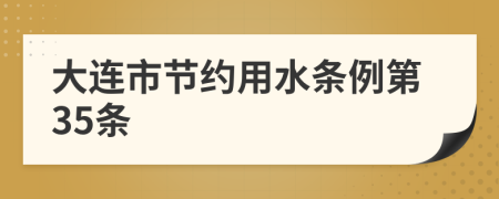 大连市节约用水条例第35条