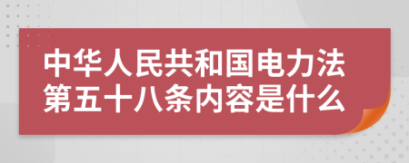 中华人民共和国电力法第五十八条内容是什么