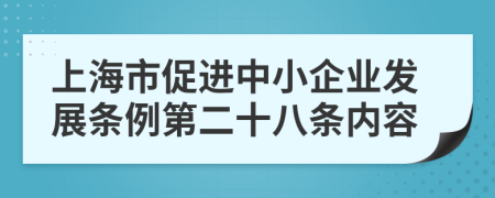 上海市促进中小企业发展条例第二十八条内容