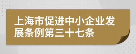 上海市促进中小企业发展条例第三十七条