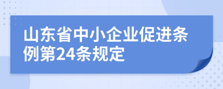 山东省中小企业促进条例第24条规定