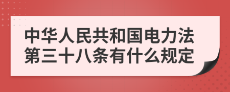 中华人民共和国电力法第三十八条有什么规定