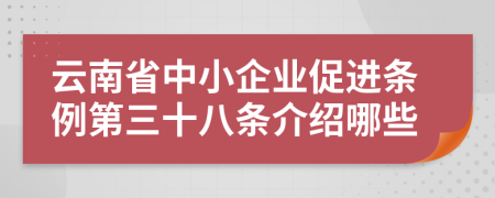 云南省中小企业促进条例第三十八条介绍哪些