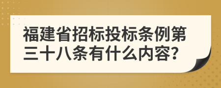 福建省招标投标条例第三十八条有什么内容？