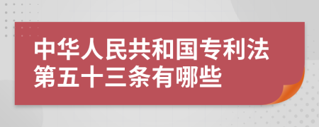 中华人民共和国专利法第五十三条有哪些