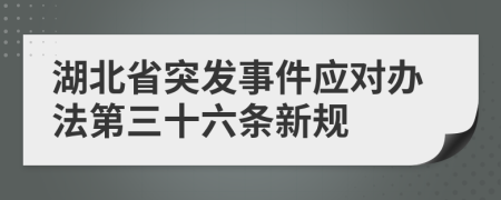 湖北省突发事件应对办法第三十六条新规