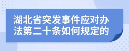 湖北省突发事件应对办法第二十条如何规定的