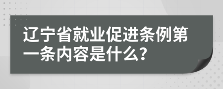 辽宁省就业促进条例第一条内容是什么？