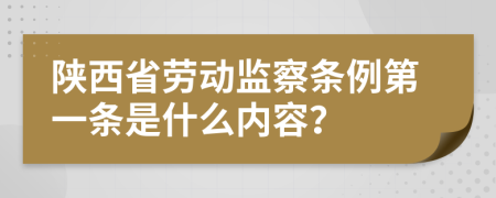 陕西省劳动监察条例第一条是什么内容？
